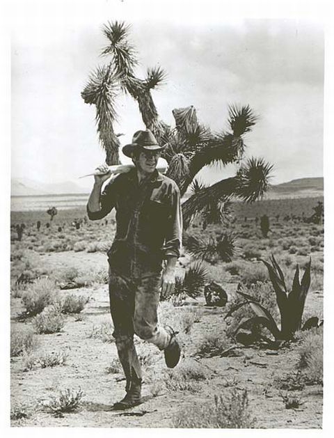 Max (McQueen) walking in the desert.
